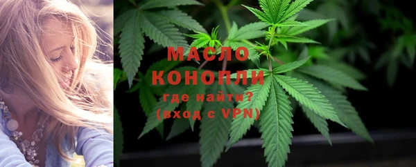 шишки Медвежьегорск