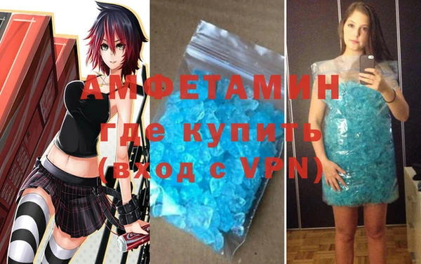 шишки Медвежьегорск