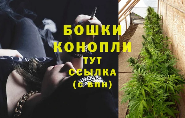 шишки Медвежьегорск