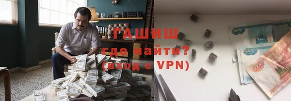 шишки Медвежьегорск