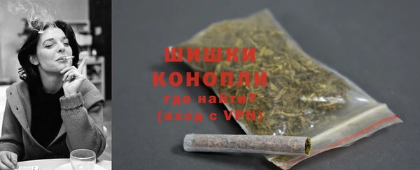 молекула духа Медногорск