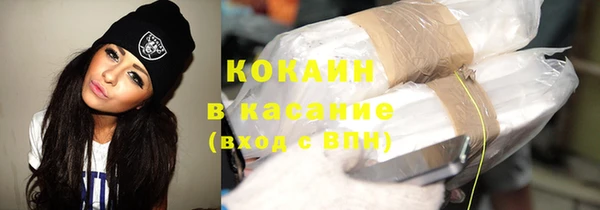 шишки Медвежьегорск