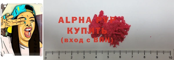 шишки Медвежьегорск