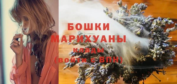 молекула духа Медногорск
