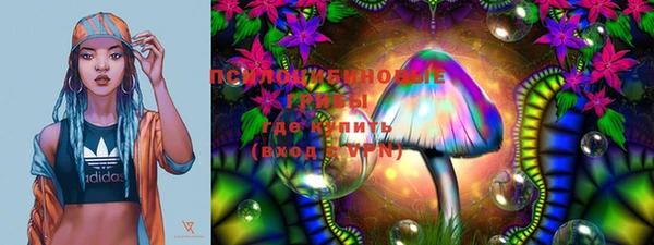 шишки Медвежьегорск