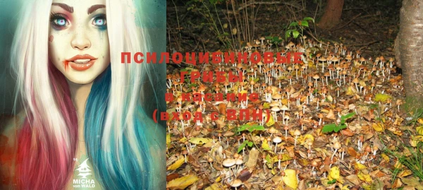 шишки Медвежьегорск