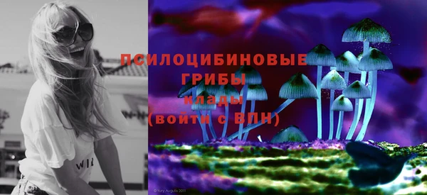 шишки Медвежьегорск