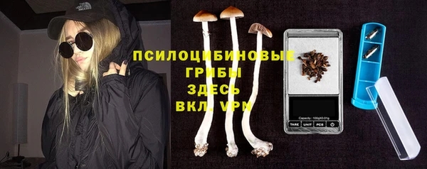 ПСИЛОЦИБИНОВЫЕ ГРИБЫ Мегион