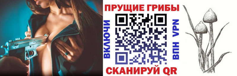 Галлюциногенные грибы мицелий  Киров 