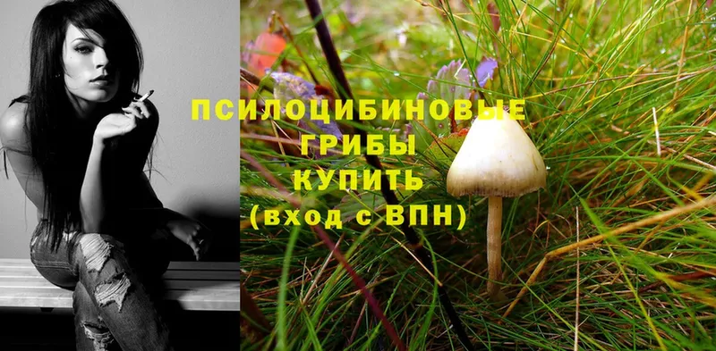 Псилоцибиновые грибы MAGIC MUSHROOMS  Киров 