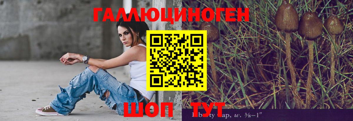 Галлюциногенные грибы MAGIC MUSHROOMS  Псилоцибиновые грибы Magic Shrooms  Киров  Вход с VPN 